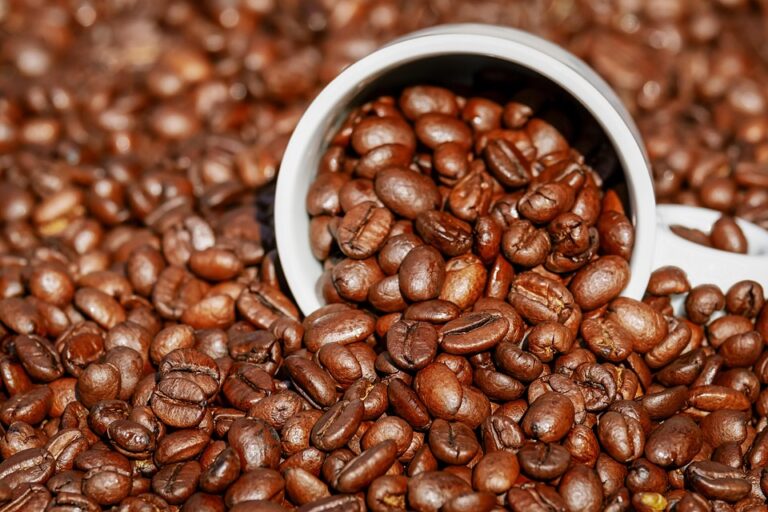 Unveiling the Rich Heritage of Coffee: Exploring the Origins of Your Favorite Beans