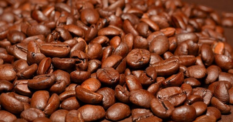 Exploring the Rich Flavors of Single-Origin Coffee: A Journey Through the World’s Finest Beans